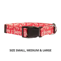 Little Earth Productions Nebraska Huskers Pet Nylon Collar - Medium