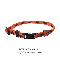 Little Earth Productions Oklahoma State Cowboys Pet Nylon Collar - XS