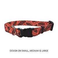 Little Earth Productions Oklahoma State Cowboys Pet Nylon Collar - Medium