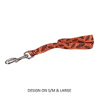 Little Earth Productions Oklahoma State Cowboys Pet Nylon Leash - S/M