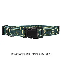 Little Earth Productions Oregon Ducks Pet Nylon Collar - Medium