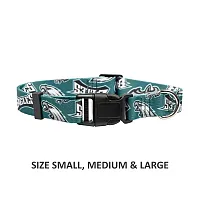 Little Earth Productions Philadelphia Eagles Pet Nylon Collar - Large