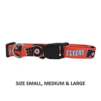 Little Earth Productions Philadelphia Flyers Pet Nylon Collar - Medium