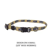 Little Earth Productions Pittsburgh Panthers Pet Nylon Collar - XS