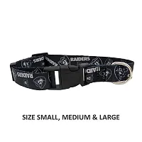 Little Earth Productions Oakland Raiders Pet Nylon Collar - XS
