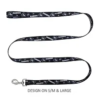 Little Earth Productions Las Vegas Raiders Pet Nylon Leash - Large