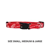 Little Earth Productions Detroit Red Wings Pet Nylon Collar - Medium