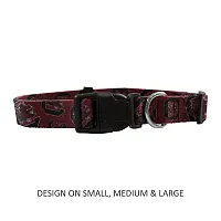 Little Earth Productions South Carolina Gamecocks Pet Nylon Collar - Large