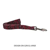 Little Earth Productions South Carolina Gamecocks Pet Nylon Leash - Large