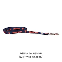 Little Earth Productions Syracuse Orange Pet Nylon Leash - XS
