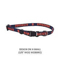 Little Earth Productions Syracuse Orange Pet Nylon Collar - XS