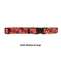 Little Earth Productions Syracuse Orange Pet Nylon Collar - Medium