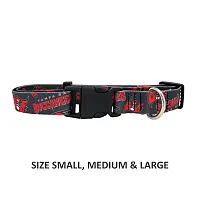 Little Earth Productions Tampa Bay Buccaneers Pet Nylon Collar - Medium