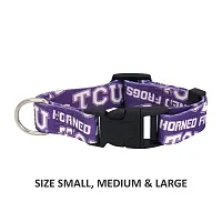 Little Earth Productions TCU Horned Frogs Pet Nylon Collar - Medium