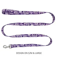 Little Earth Productions TCU Horned Frogs Pet Nylon Leash - Large