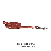 Little Earth Productions Texas Longhorns Pet Nylon Leash - XS