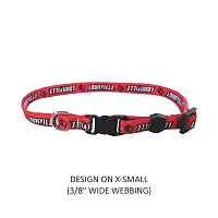 Little Earth Productions Louisville Cardinals Pet Nylon Collar - XS