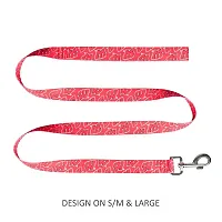 Little Earth Productions Wisconsin Badgers Pet Nylon Leash - XS