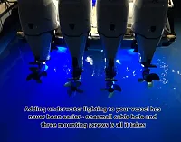 LUMISHORE US 60BLK0314 Smx53 Supra Blue/White 6100 Lumen