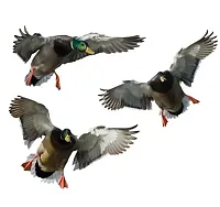 MOSSY OAK 13008 Mallard - 3 Drakes