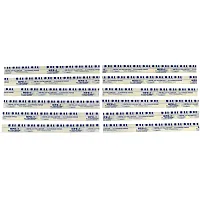 CLEVITE 77 MPB1 Pls Gauge/Blue