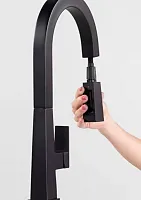 LIPPERT COMP 2021090602 Pull-Down Faucet-Black Matte