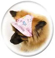Mactavish Princess Hat, Large