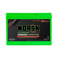 NORSK INC V3628060GH 36V+28V-60Ah-Lifepo4-Bat-Gdn-H