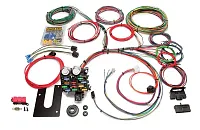 PAINLESS WRG 10101 12 Circuit Wire Asmbly Gm