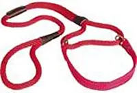 Pet Edge Martingale Style Lead, 1/2in x 6ft