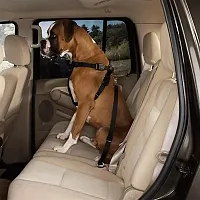 Pet Edge Guardian Gear Car Harness - Large