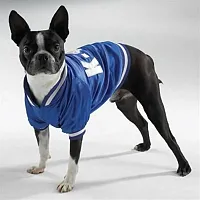 Pet Edge Baseball Jacket - Large