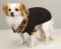 Pet Edge Windsor Sweater with Leopard Trim - Large