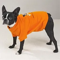 Pet Edge Happy Halloween Glow-in-the-Dark Sweatshirt - Large
