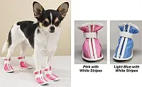 Pet Edge Sporty Boots - Pink - Large