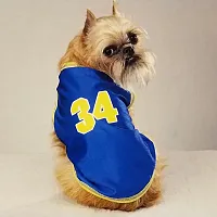 Casual Canine; Pet Edge B-Ball Tank - Medium