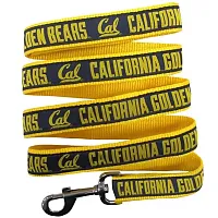 Pets First Cal Berkeley Golden Bears Pet Leash by Pets First - Small