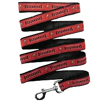 Pets First Tampa Bay Buccaneers Pet Leash by Pets First - Medium