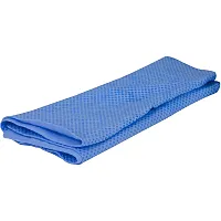 PROTECTIVE I 396602B Ez Cool Evap - Cooling Towel