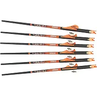 Ravin Arrows 400Gr. 6Pk .003