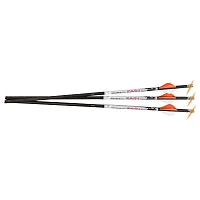 Ravin .001 Premium Lighted Arrows 500 Grains (3-Pack)