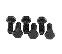 RAM 491 Pressure Plate Bolt Set