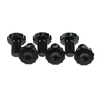 RAM 530 Flywheel Bolt Set