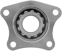 RAYBESTOS 712009 Bearing Module