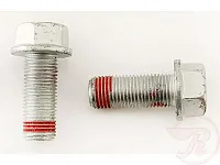 RAYBESTOS H17051 Caliper Bolts