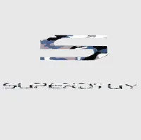 RECON ACCESS 264381WC Acrylic Emblem Inserts - Ford 17-18