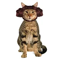 Rubie's Costume Co Star Wars Princess Leia Cat Headpiece