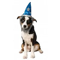 Rubie's Costume Co Wizard Pet Hat With Beard - M/L