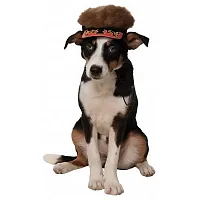 Rubie's Costume Co Flame Visor With Spiky Hair For Pets - S/M