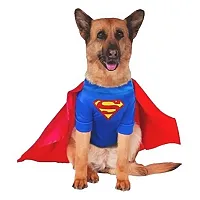 Rubie's Costume Co Big Dogs Superman Pet Costume - XX-Large